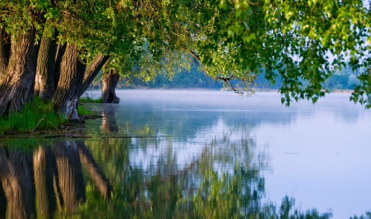 Skärmbild 2026 03 20 152903